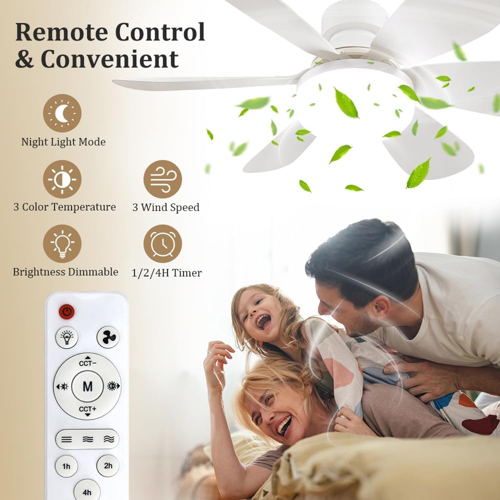 Socket Fan Light with Remote,  - Lighting Decoration For Home review and price